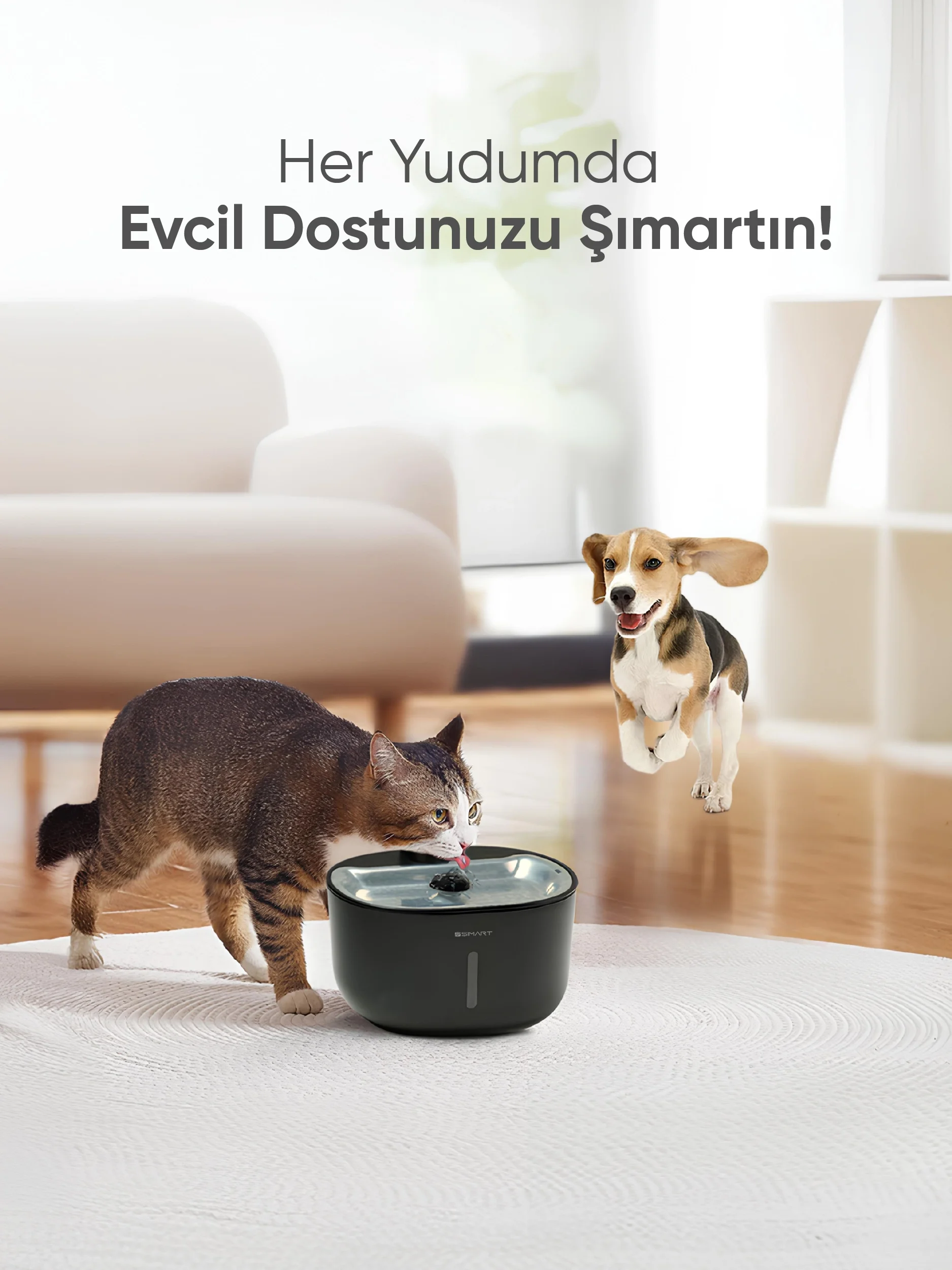 Akıllı Evcil Hayvan Sebili - Akıllı Evcil Hayvan Sebili, Akıllı ev cihazı, IoT teknolojisi, Akıllı telefon kontrolü, Enerji tasarrufu IoT, Güvenlik IoT ürünü, Akıllı yaşam teknolojisi, Evinizi akıllandırın, IoT ile akıllı ev, Akıllı ev otomasyonu